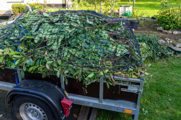 Best Scrap Metal Removal  in Linden, TN